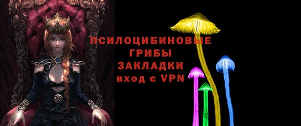 молекула духа Абинск